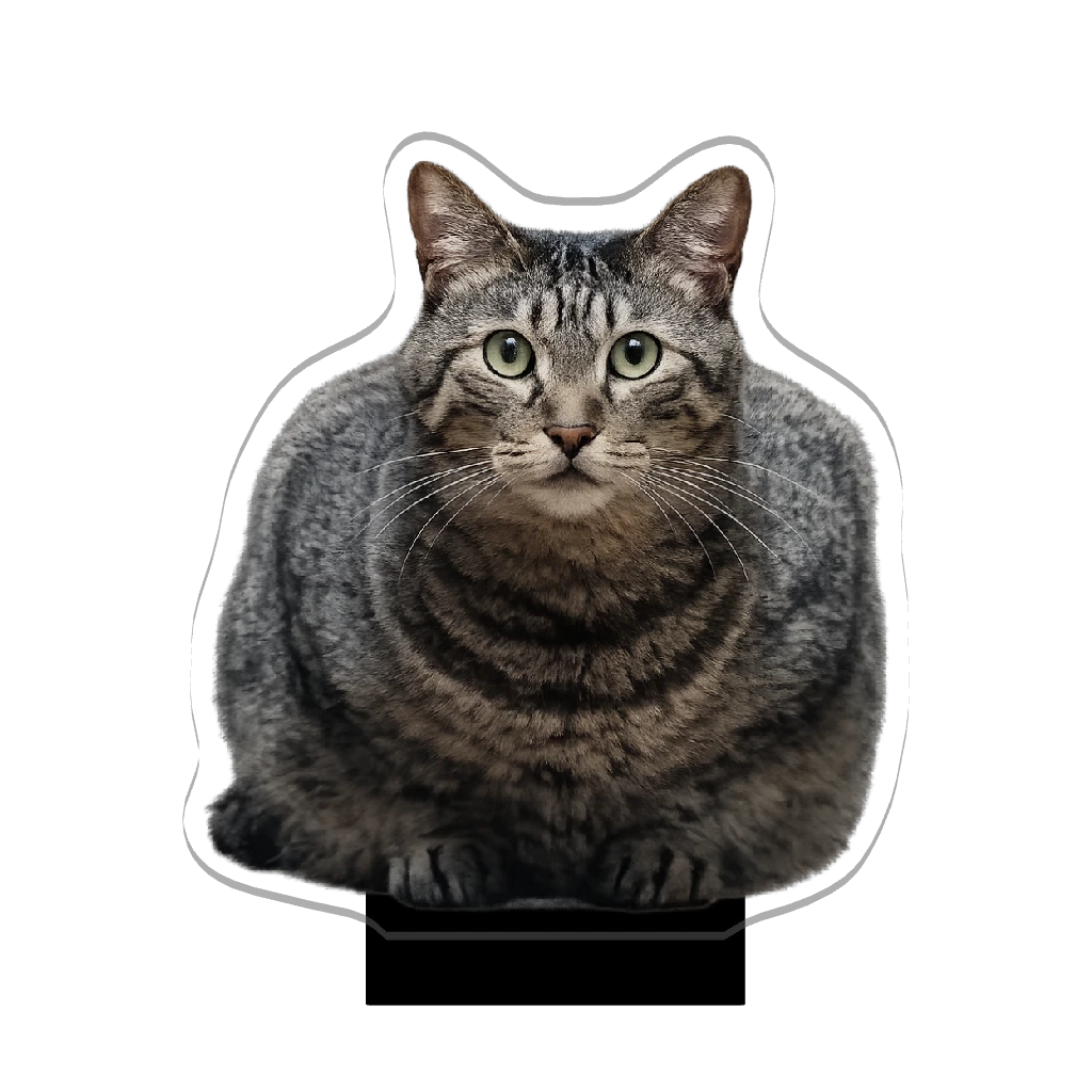 3Dアクリルスタンド（ひつじ）お猫さま③