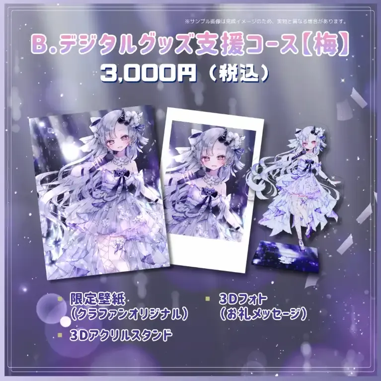 B.デジタルグッズ支援コース【梅】 商品画像