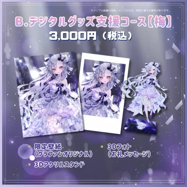 B.デジタルグッズ支援コース【梅】