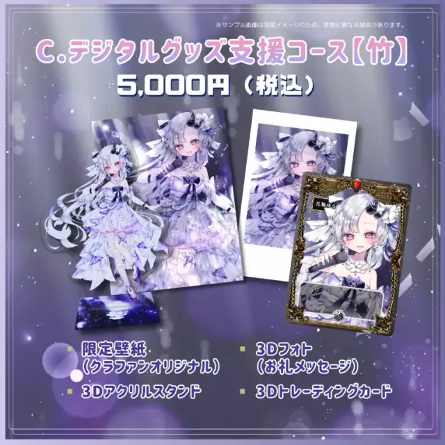 C.デジタルグッズ支援コース【竹】