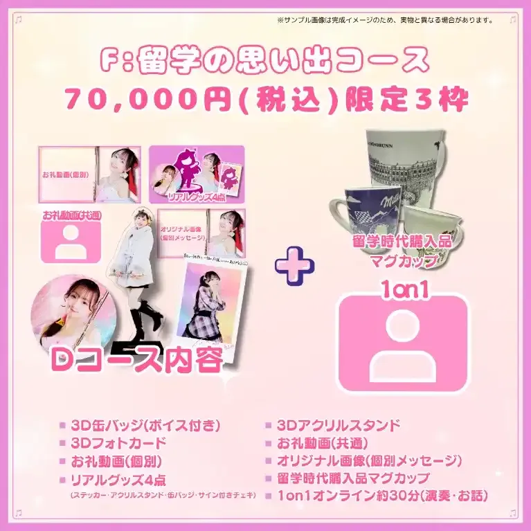 F:留学の思い出コース 商品画像