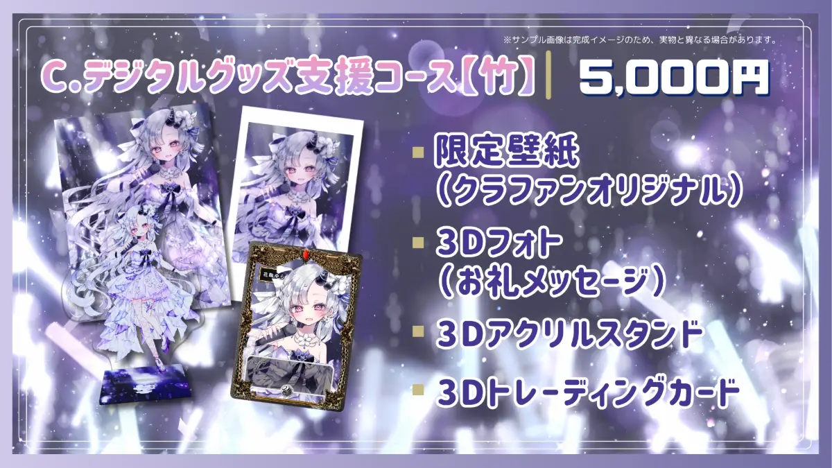 C.デジタルグッズ支援コース【竹】