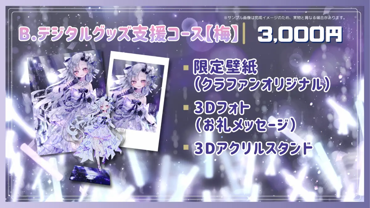 B.デジタルグッズ支援コース【梅】