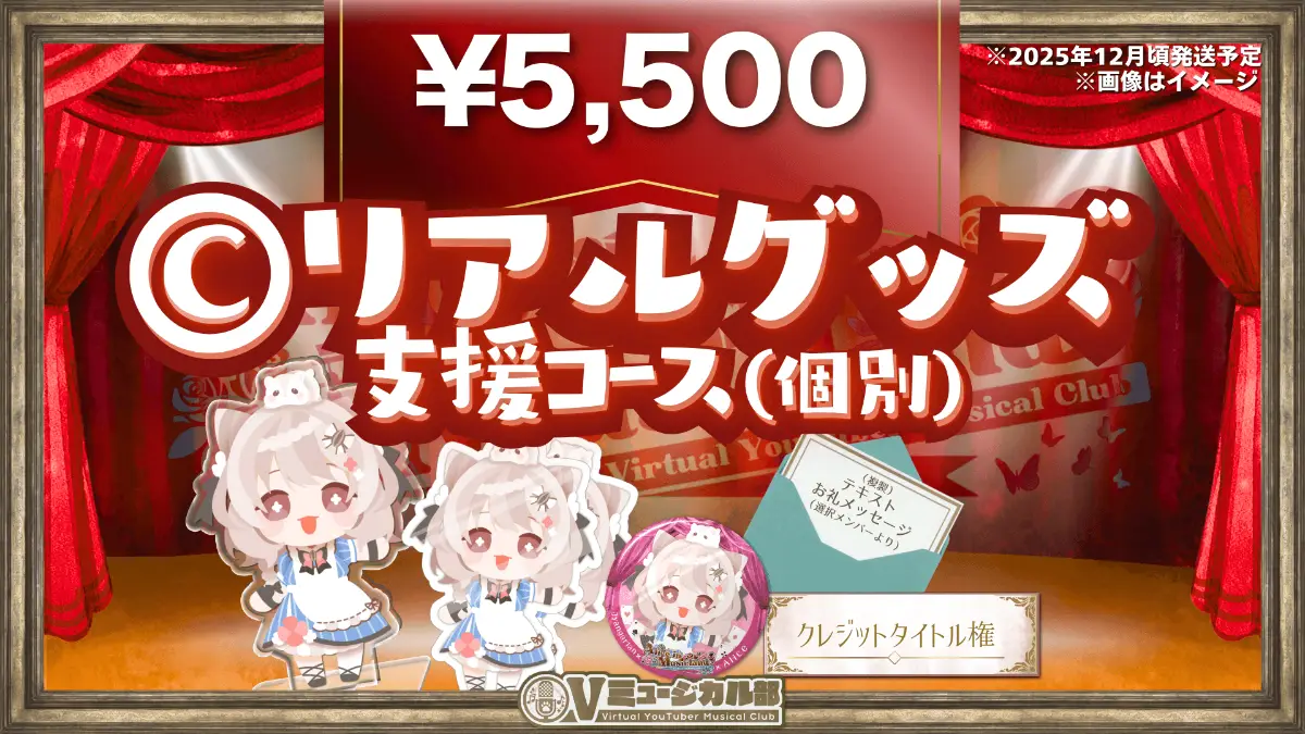 C. リアルグッズ支援コース(個別)