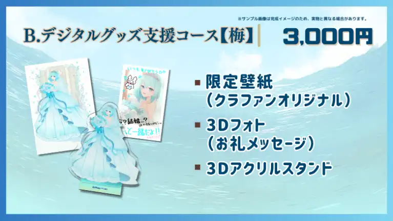 B.デジタルグッズ支援コース【梅】