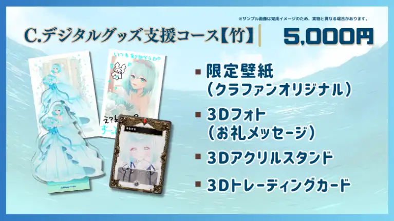 C.デジタルグッズ支援コース【竹】