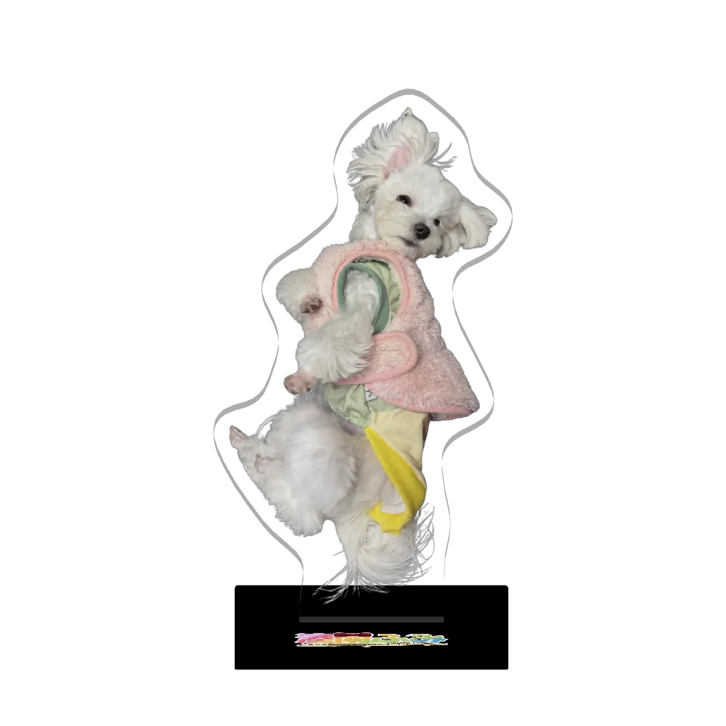 3Dアクリルスタンド(ミミちゃん)の画像