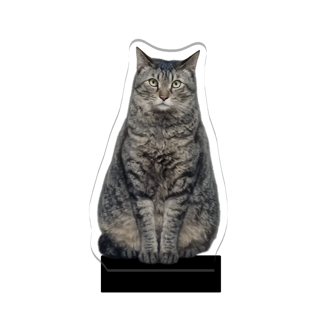 3Dアクリルスタンド(ひつじ)お猫さま②