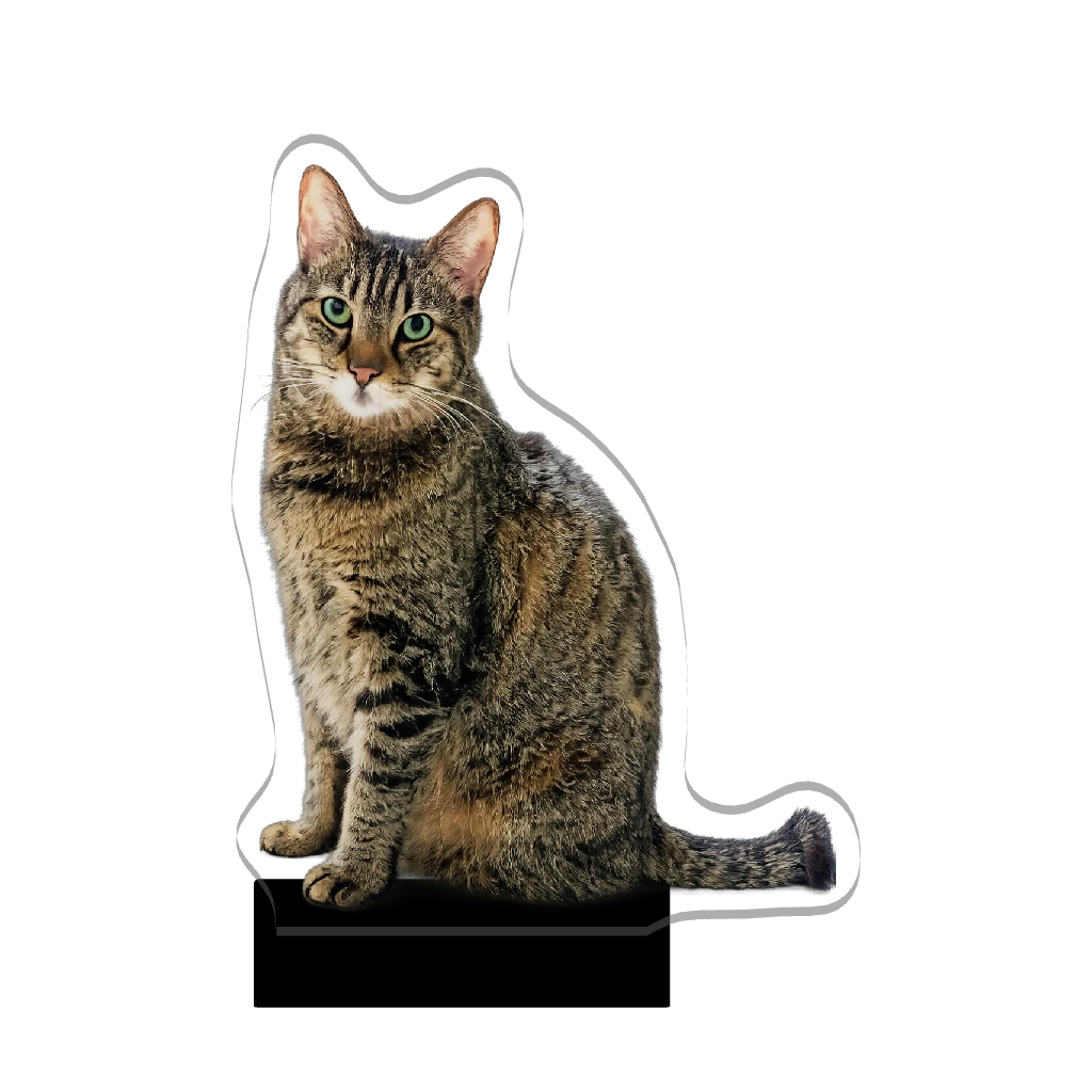 3Dアクリルスタンド(ひつじ)お猫さま①