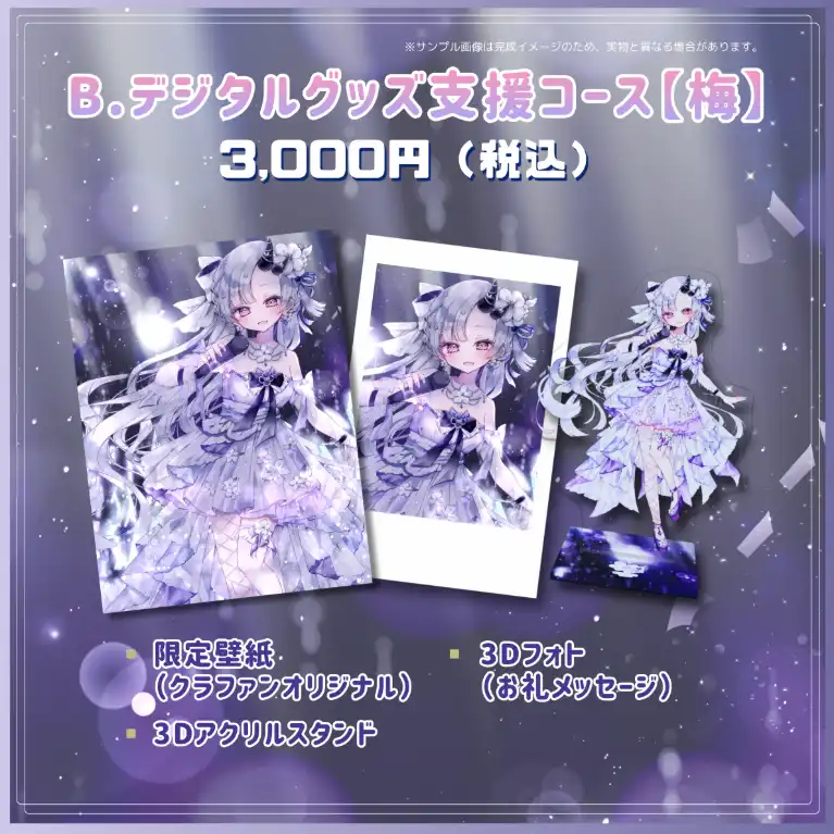 B.デジタルグッズ支援コース【梅】