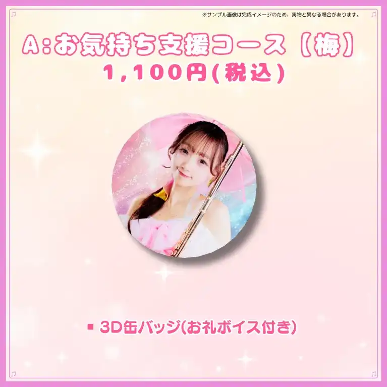 A:お気持ち支援コース【梅】
