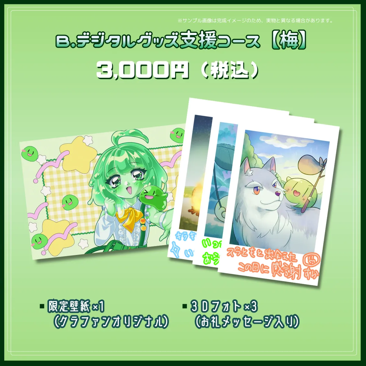 B.デジタルグッズ支援コース【梅】